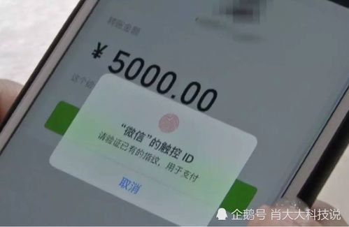 鴻蒙系統(tǒng)的挑戰(zhàn) 為何Teams安裝問(wèn)題成為用戶(hù)關(guān)注的焦點(diǎn)